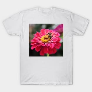 Bee Feeding On A Flower T-Shirt